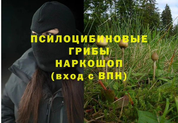 дурь Алексин