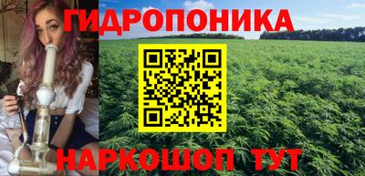 a pvp Бердск