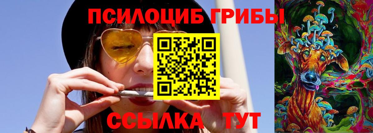 Галлюциногенные грибы ЛСД  Вход с VPN  Шахты  Галлюциногенные грибы мицелий 